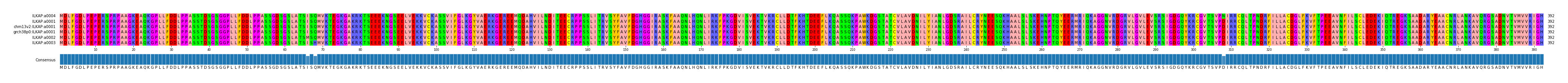 Multiple Alignments (by translate haplotype similarity)