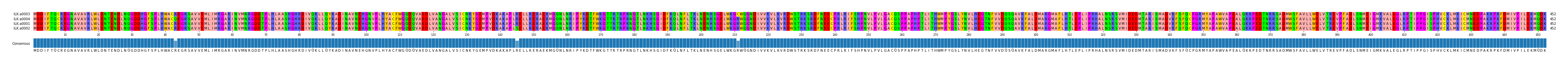 Multiple Alignments (by translate haplotype similarity)