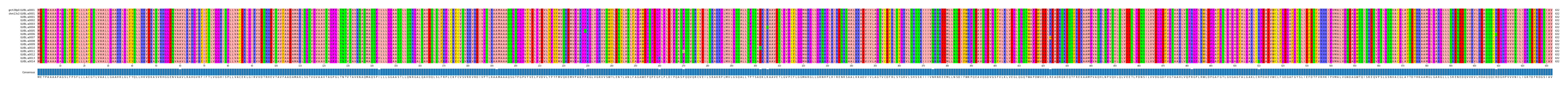 Multiple Alignments (by translate haplotype frequency)