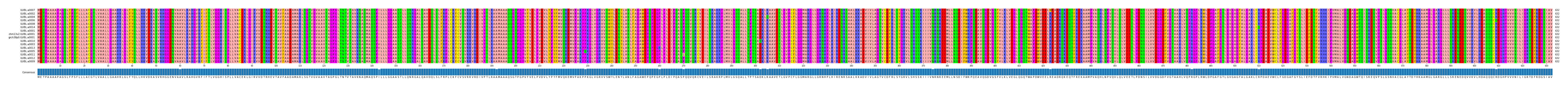 Multiple Alignments (by translate haplotype similarity)
