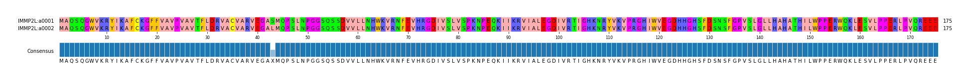 Multiple Alignments (by translate haplotype frequency)