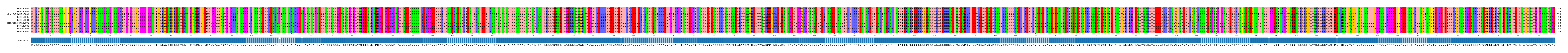 Multiple Alignments (by translate haplotype similarity)