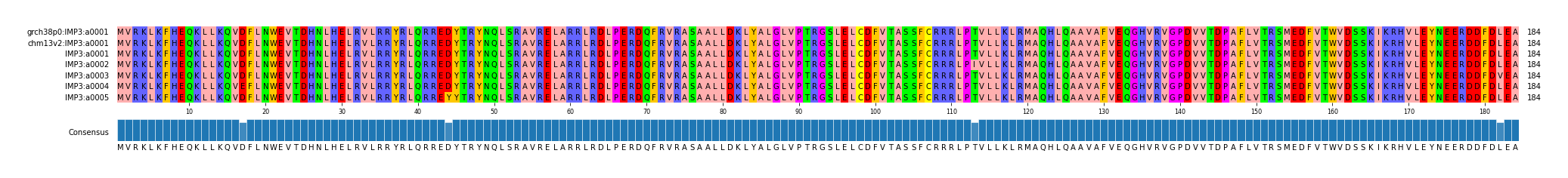 Multiple Alignments (by translate haplotype frequency)