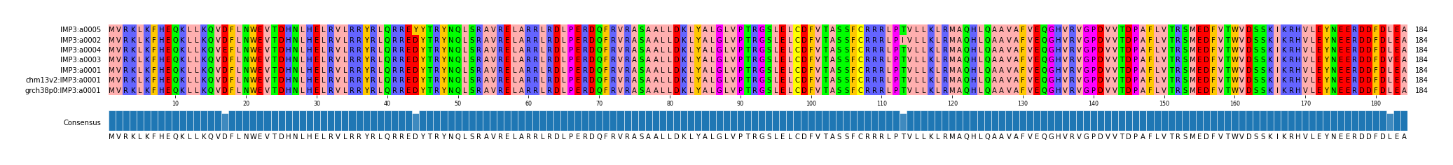 Multiple Alignments (by translate haplotype similarity)