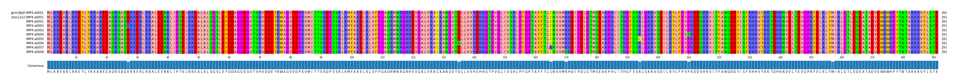 Multiple Alignments (by translate haplotype frequency)