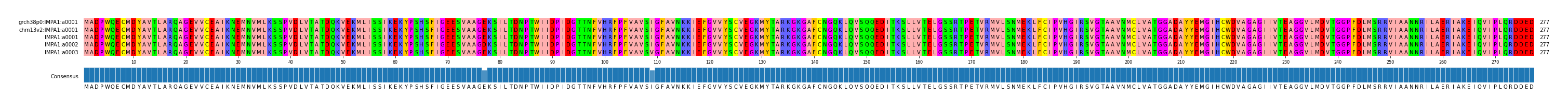 Multiple Alignments (by translate haplotype frequency)