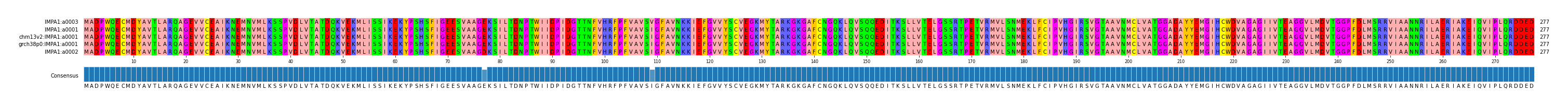 Multiple Alignments (by translate haplotype similarity)