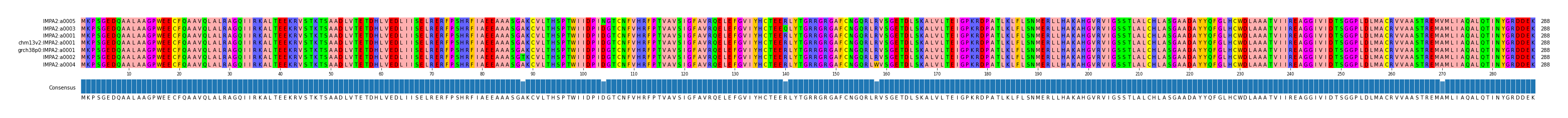 Multiple Alignments (by translate haplotype similarity)