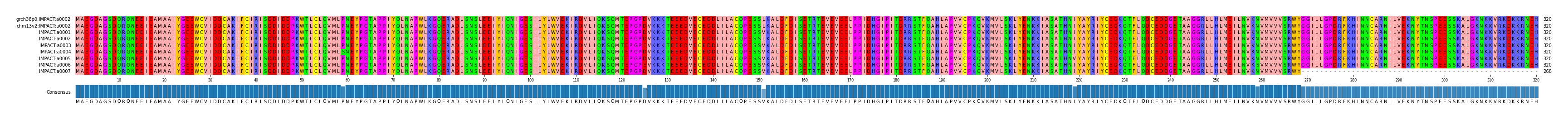 Multiple Alignments (by translate haplotype frequency)