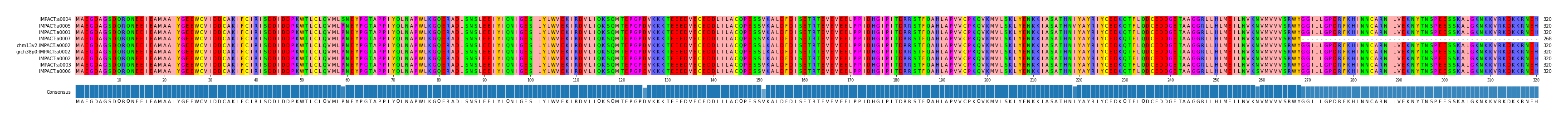 Multiple Alignments (by translate haplotype similarity)