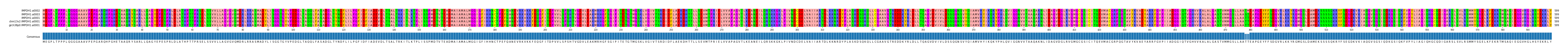 Multiple Alignments (by translate haplotype similarity)