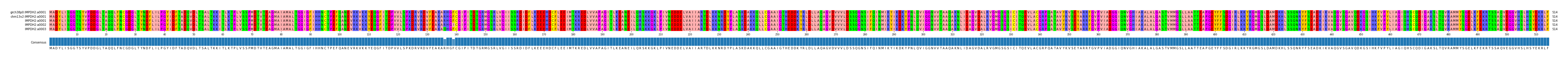 Multiple Alignments (by translate haplotype frequency)