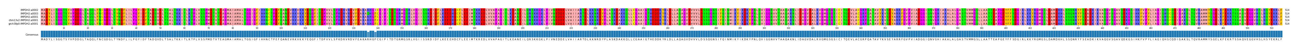 Multiple Alignments (by translate haplotype similarity)
