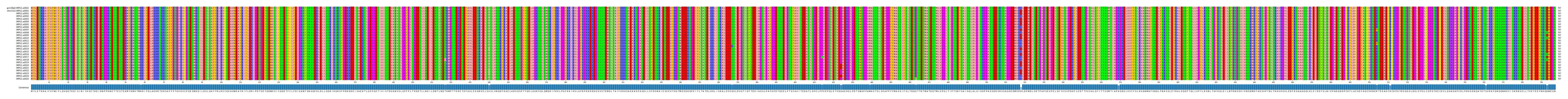 Multiple Alignments (by translate haplotype frequency)