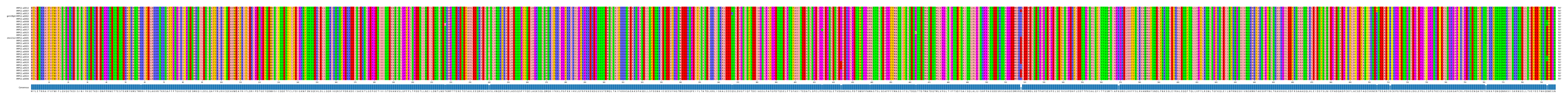 Multiple Alignments (by translate haplotype similarity)