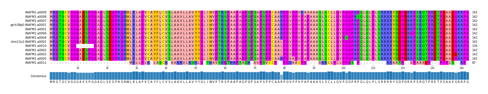 Multiple Alignments (by translate haplotype similarity)