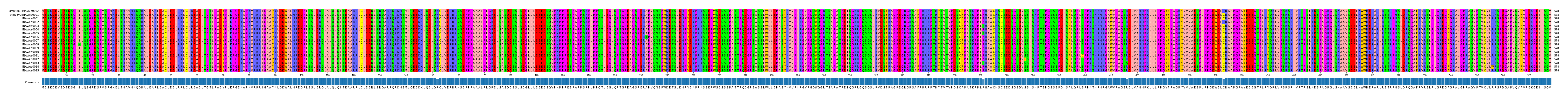 Multiple Alignments (by translate haplotype frequency)