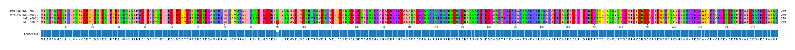 Multiple Alignments (by translate haplotype similarity)