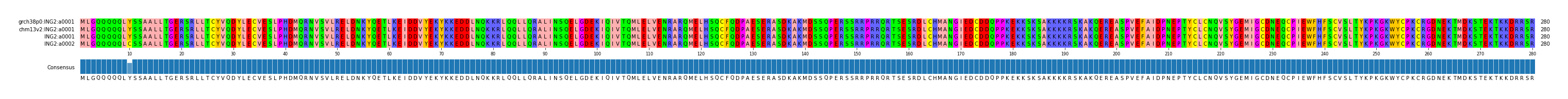 Multiple Alignments (by translate haplotype similarity)