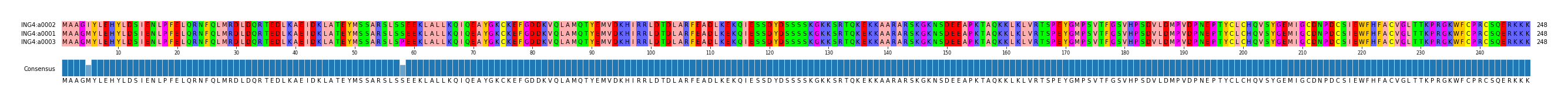 Multiple Alignments (by translate haplotype similarity)