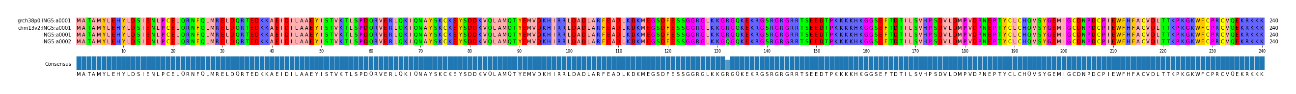 Multiple Alignments (by translate haplotype similarity)