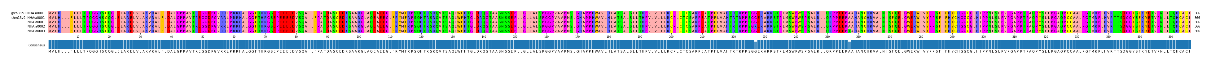Multiple Alignments (by translate haplotype frequency)