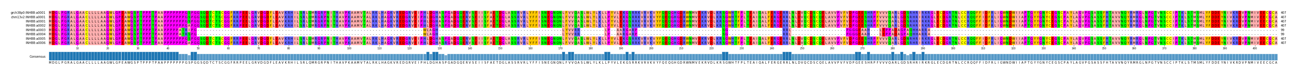 Multiple Alignments (by translate haplotype frequency)