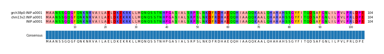 Multiple Alignments (by translate haplotype similarity)