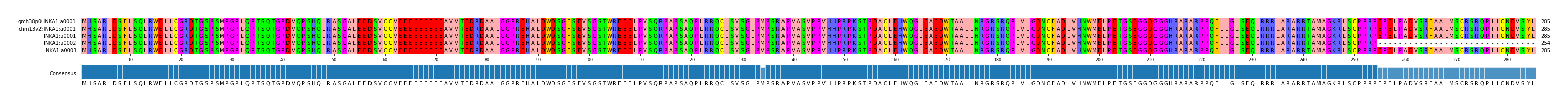 Multiple Alignments (by translate haplotype frequency)