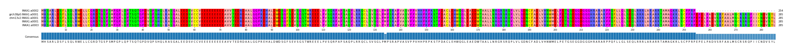 Multiple Alignments (by translate haplotype similarity)