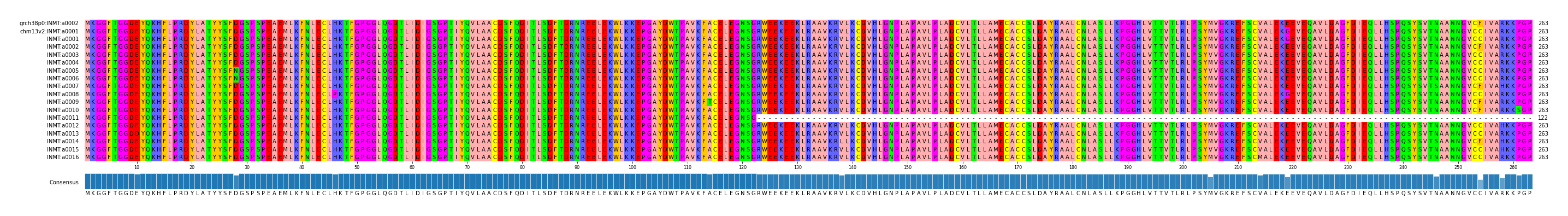 Multiple Alignments (by translate haplotype frequency)