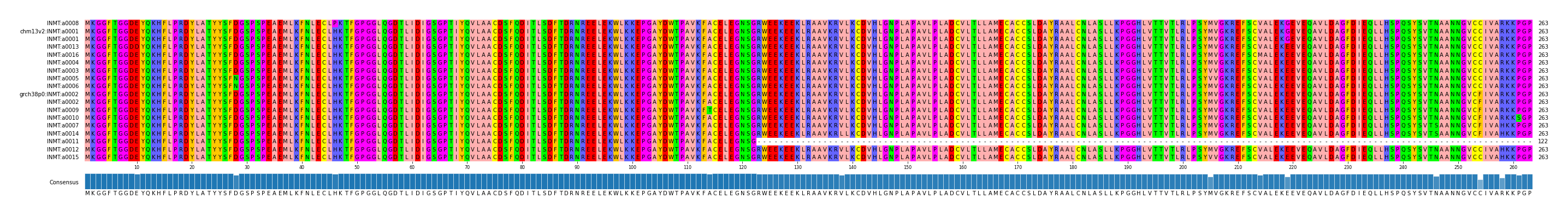 Multiple Alignments (by translate haplotype similarity)