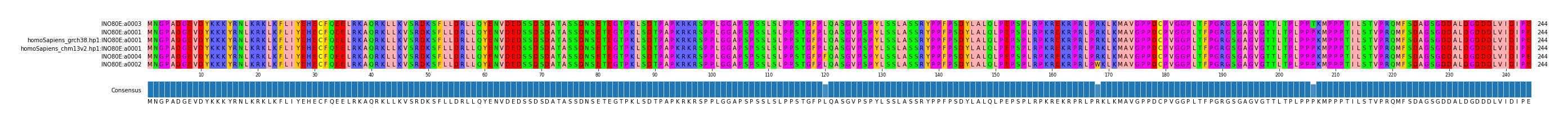 Multiple Alignments (by translate haplotype similarity)