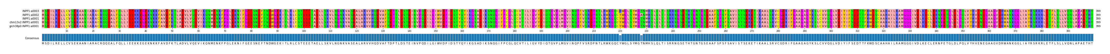 Multiple Alignments (by translate haplotype similarity)