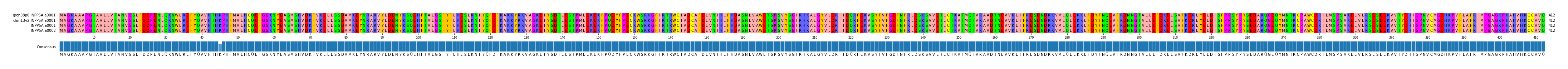 Multiple Alignments (by translate haplotype similarity)