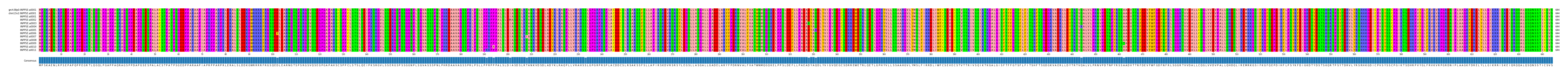 Multiple Alignments (by translate haplotype frequency)