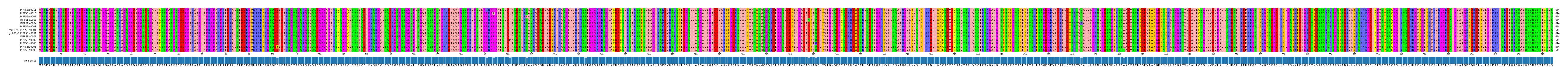 Multiple Alignments (by translate haplotype similarity)