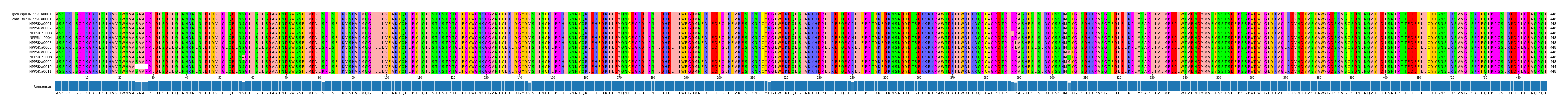 Multiple Alignments (by translate haplotype frequency)