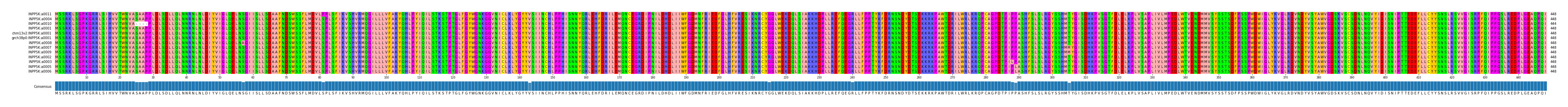 Multiple Alignments (by translate haplotype similarity)