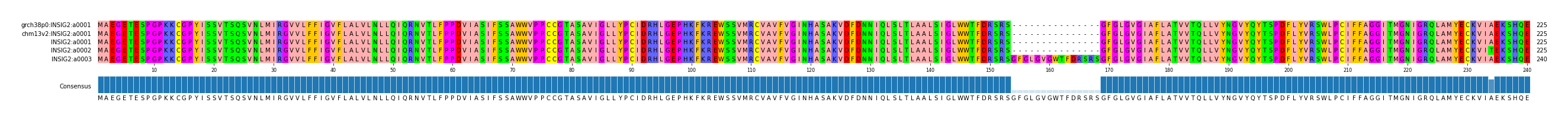 Multiple Alignments (by translate haplotype frequency)