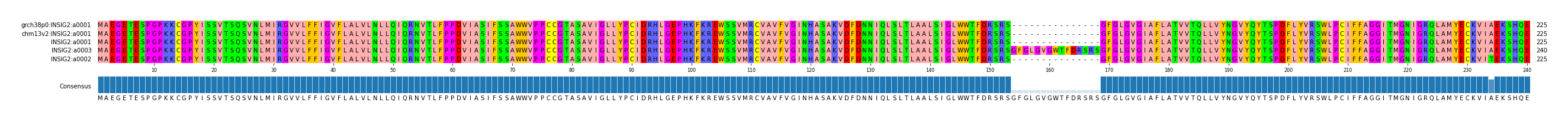 Multiple Alignments (by translate haplotype similarity)