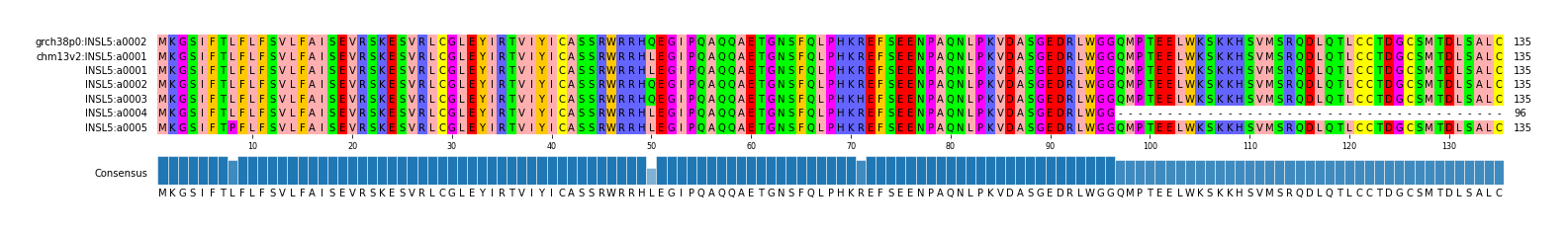 Multiple Alignments (by translate haplotype frequency)