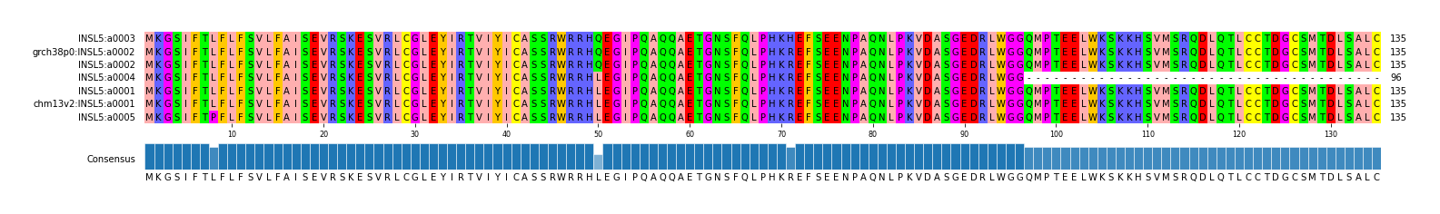 Multiple Alignments (by translate haplotype similarity)