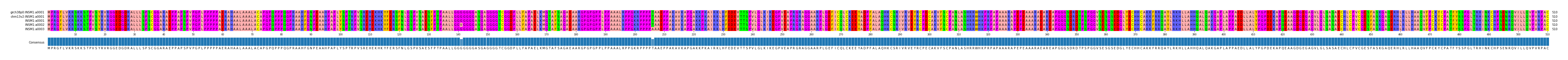 Multiple Alignments (by translate haplotype frequency)