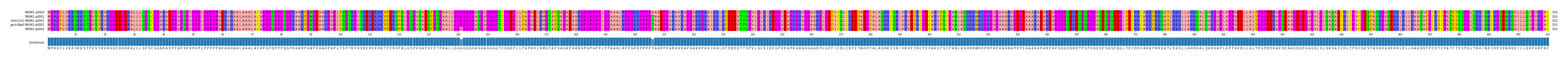 Multiple Alignments (by translate haplotype similarity)