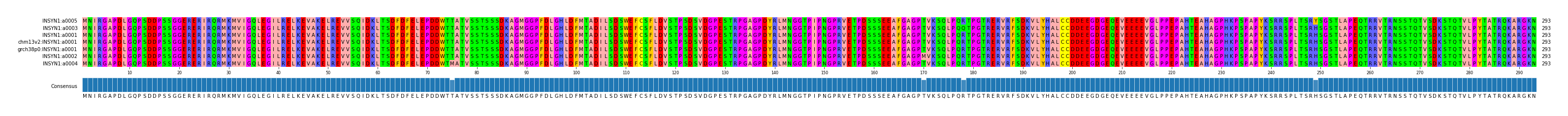 Multiple Alignments (by translate haplotype similarity)