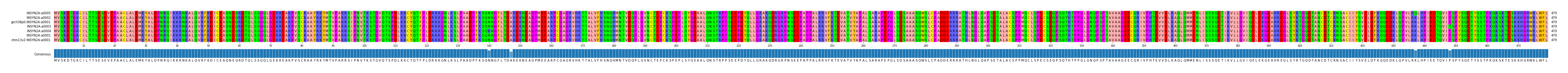 Multiple Alignments (by translate haplotype similarity)
