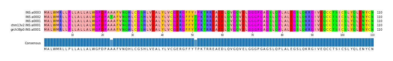 Multiple Alignments (by translate haplotype similarity)