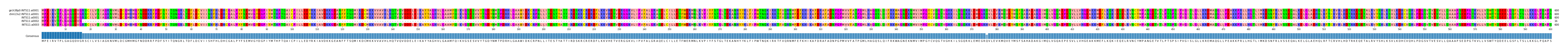 Multiple Alignments (by translate haplotype similarity)