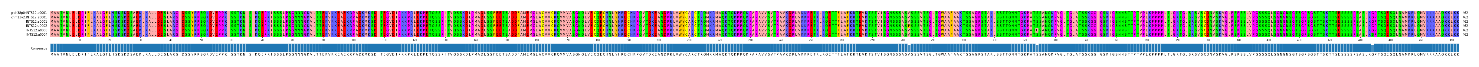 Multiple Alignments (by translate haplotype frequency)